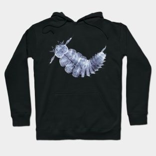 Beetle larva under the microscope Hoodie